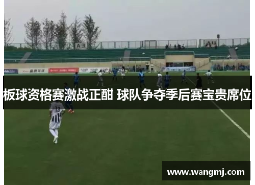 板球资格赛激战正酣 球队争夺季后赛宝贵席位
