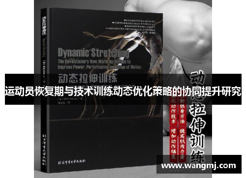 运动员恢复期与技术训练动态优化策略的协同提升研究