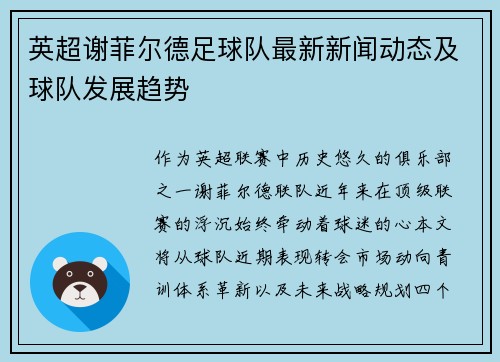 英超谢菲尔德足球队最新新闻动态及球队发展趋势